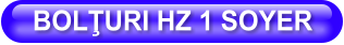BOLŢURI HZ 1 SOYER
